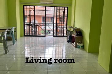 Evergreen Park Acorn and Hazel