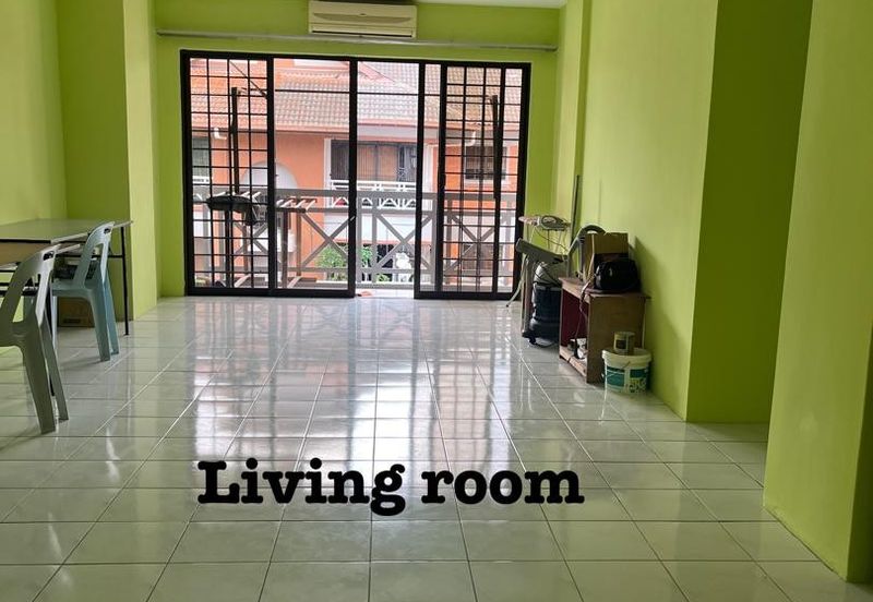 Evergreen Park Acorn and Hazel