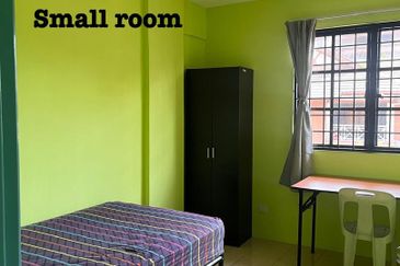 Evergreen Park Acorn and Hazel