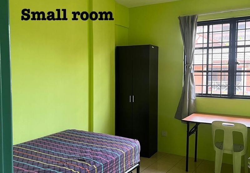 Evergreen Park Acorn and Hazel