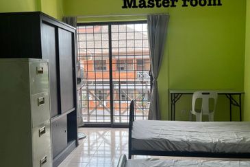 Evergreen Park Acorn and Hazel