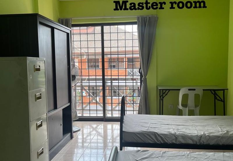 Evergreen Park Acorn and Hazel