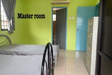 Evergreen Park Acorn and Hazel