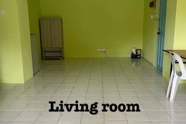 Evergreen Park Acorn and Hazel