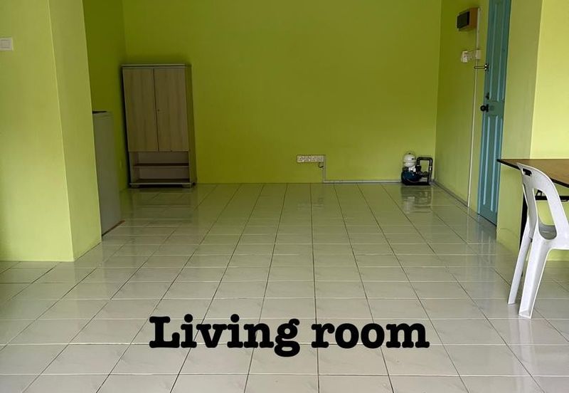 Evergreen Park Acorn and Hazel