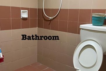 Evergreen Park Acorn and Hazel