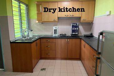 Evergreen Park Acorn and Hazel