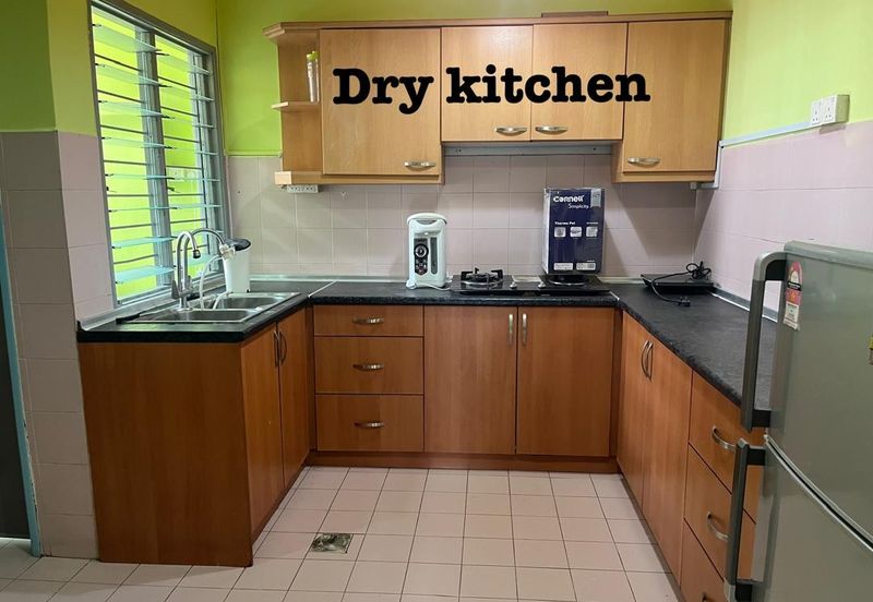 Evergreen Park Acorn and Hazel