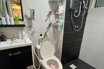 Aliran Damai, Bandar Damai Perdana