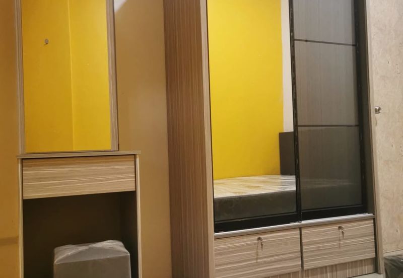 Evergreen Park Acorn and Hazel