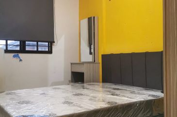 Evergreen Park Acorn and Hazel