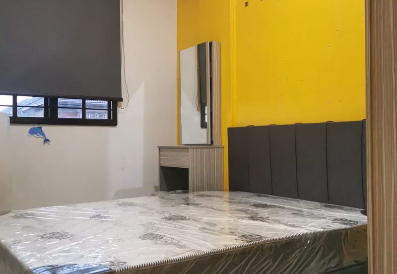 Evergreen Park Acorn and Hazel