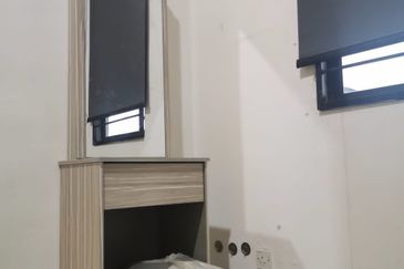 Evergreen Park Acorn and Hazel