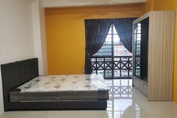 Evergreen Park Acorn and Hazel