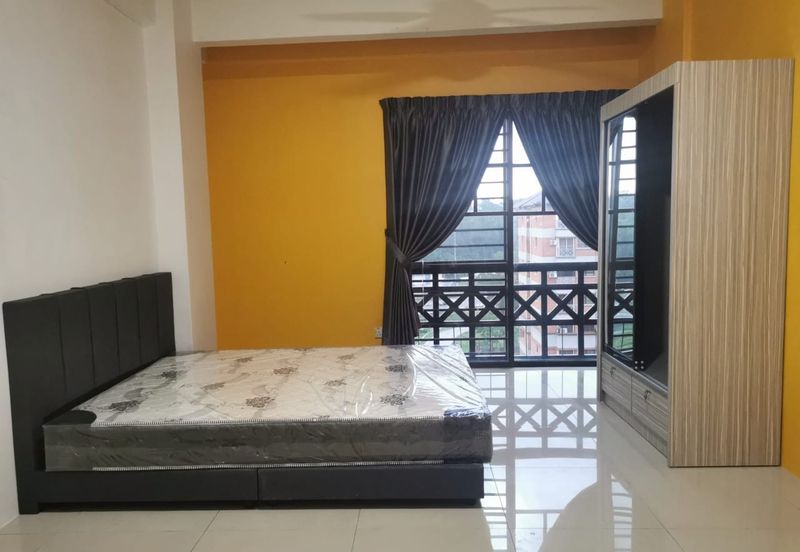 Evergreen Park Acorn and Hazel