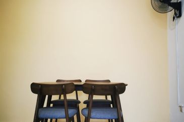 Evergreen Park Acorn and Hazel