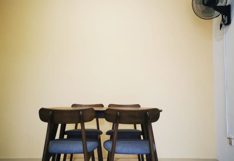 Evergreen Park Acorn and Hazel