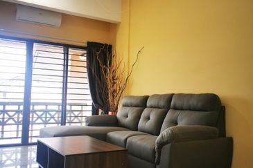 Evergreen Park Acorn and Hazel