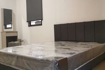 Evergreen Park Acorn and Hazel