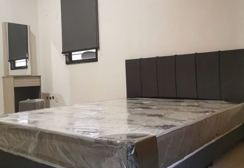 Evergreen Park Acorn and Hazel