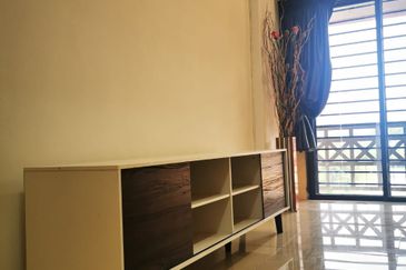 Evergreen Park Acorn and Hazel