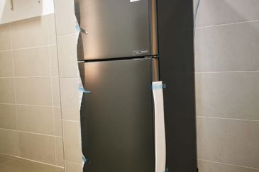 Evergreen Park Acorn and Hazel