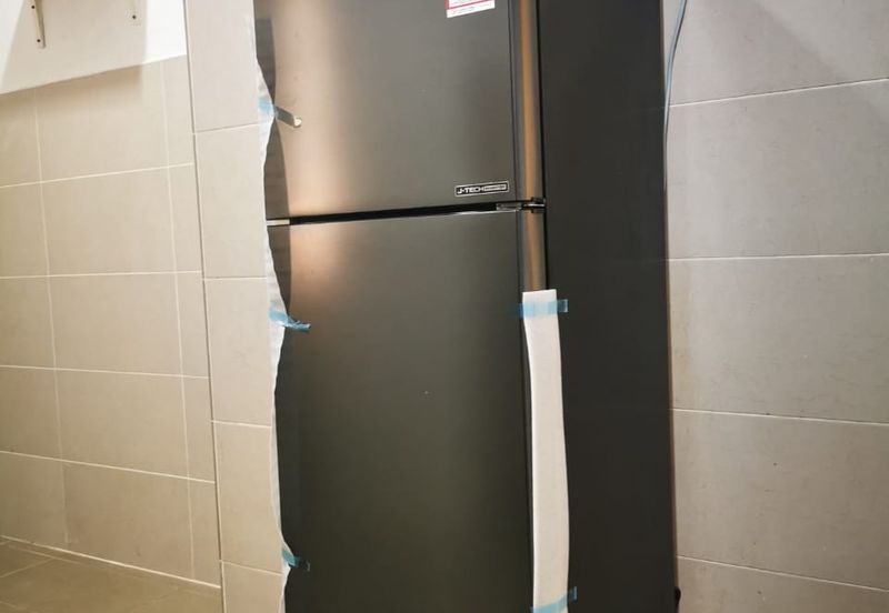 Evergreen Park Acorn and Hazel