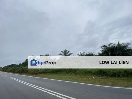Benut Agricultural Land for Sale, Johor, Pontian