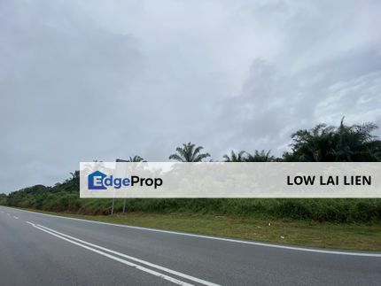 Benut Agricultural Land for Sale, Johor, Pontian