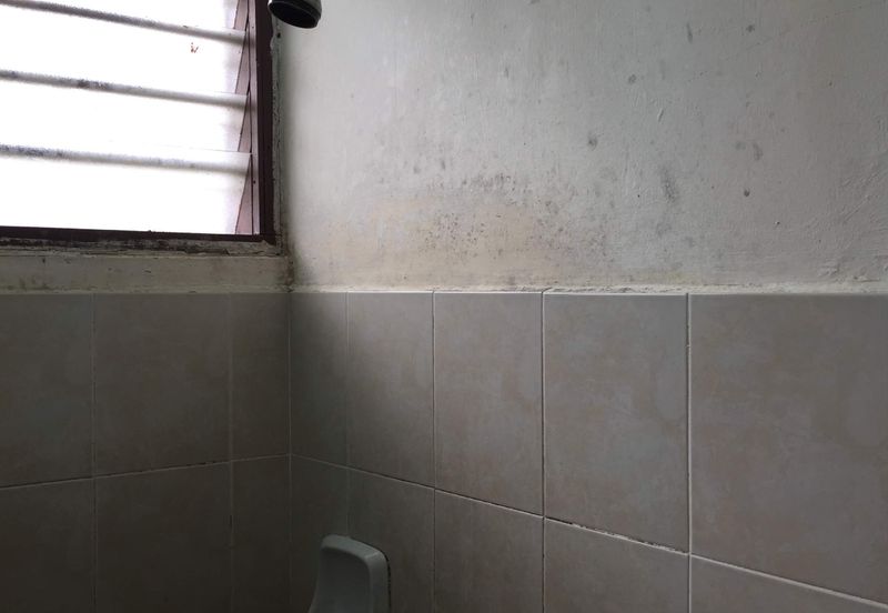 Gelang Patah, Johor 1-Storey Bungalow House for Sale