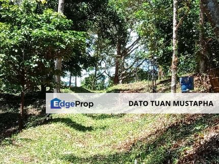 Dusun Buah-buahan di Langkawi Kedah, Kedah, Langkawi