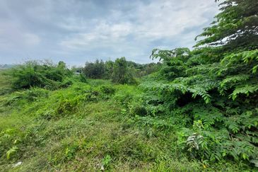 Tanah Pertanian zoning perumahan Bukit Katil Melaka