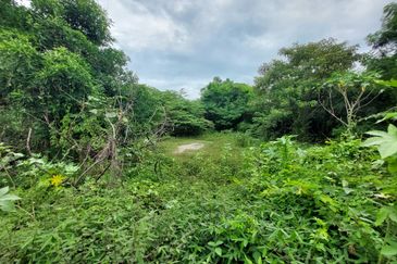 Tanah Pertanian zoning perumahan Bukit Katil Melaka