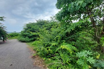 Tanah Pertanian zoning perumahan Bukit Katil Melaka