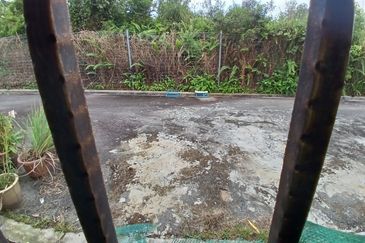 NILAI IMPIAN (LAMAN DELFINA)