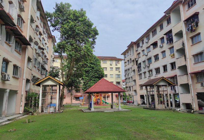 Gugusan Teratai, Seksyen 6 Kota Damansara