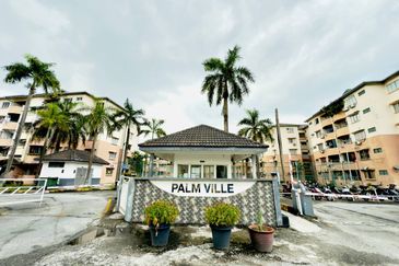 Palm Ville