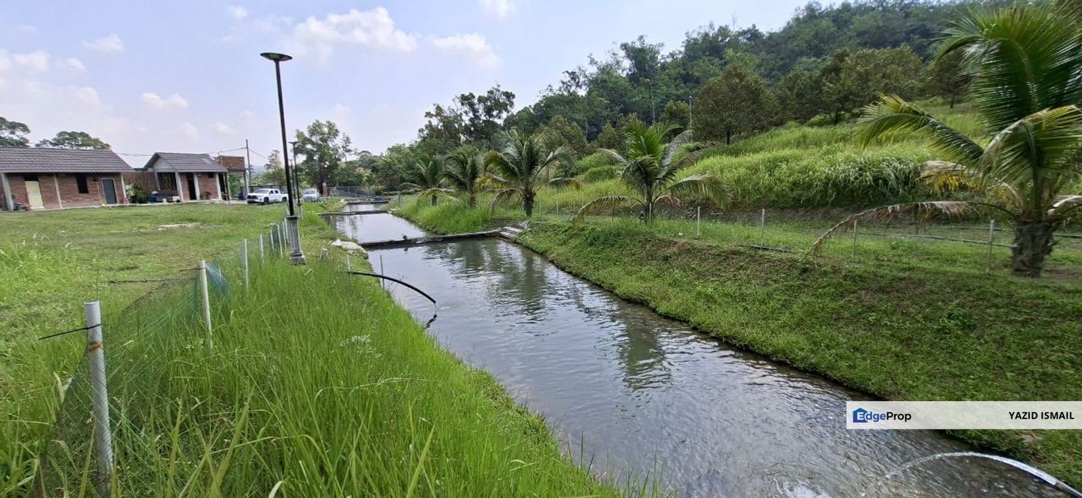 Tanah Pertanian, Serendah , Rawang , Selangor, Serendah