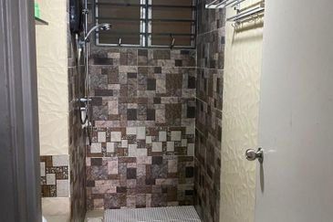 Penaga @ Taman Raintree