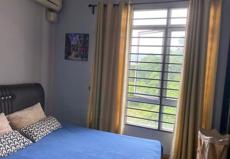 Penaga @ Taman Raintree