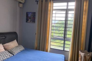 Penaga @ Taman Raintree