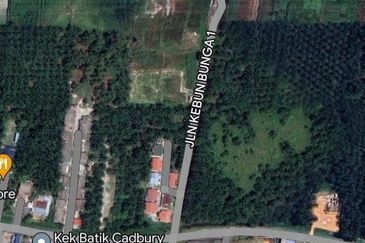 Rancangan Tanah Belia, RTB Bukit Changgang