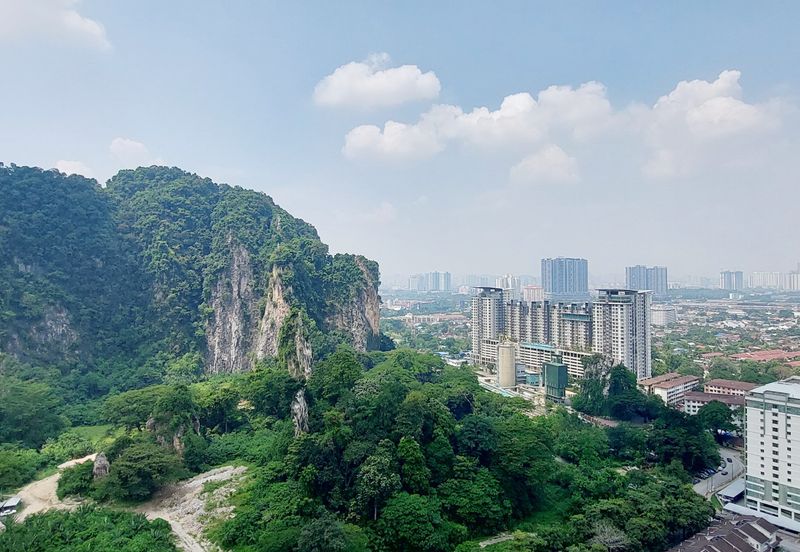 Penaga @ Taman Raintree