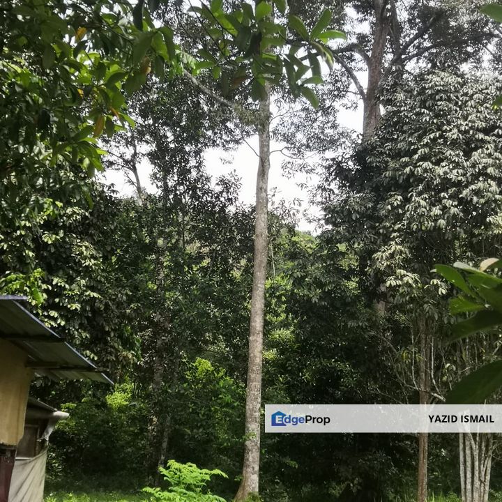 [14,200sqft]Geran Individu,Jln  Sg Lui,Hulu Langat, Selangor, Hulu Langat