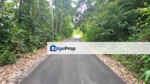Agriculture Land 4.56 Acre Freehold Jalan Air Betang, Gerik For Sale, Perak, Gerik