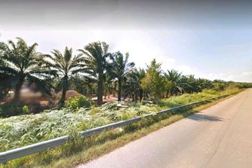Kelantan Tanah Merah 
1314 acres Palm Oil Land 