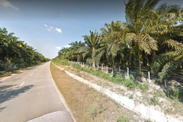 Kelantan Tanah Merah 
1314 acres Palm Oil Land 