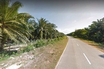 Kelantan Tanah Merah 
1314 acres Palm Oil Land 