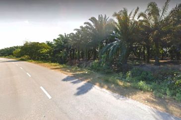 Kelantan Tanah Merah 
1314 acres Palm Oil Land 