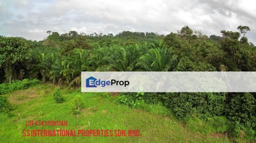 3#Pontian 4.39 acres of Agriculture Land For Sale, Johor, Pontian